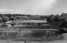 Fish Hatchery Below Dam  1936
